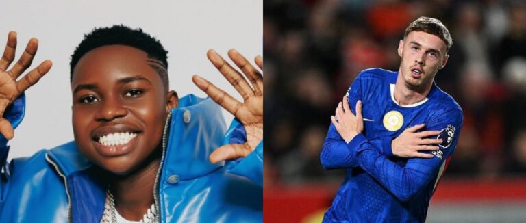 Peller-Palmer-Cole-1024x435