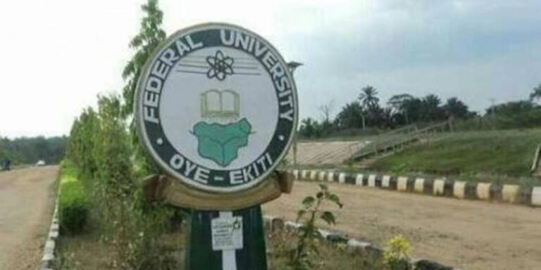 sr file - 2025-10-30T082746.081