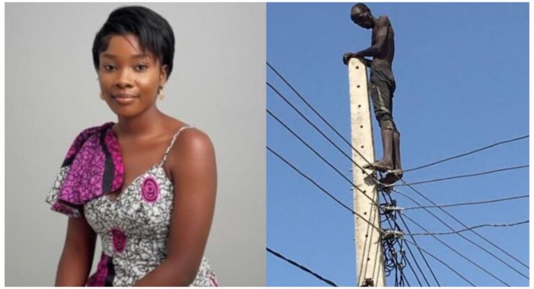 InCollage_20260128_112507027-1536x832