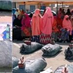 GridArt_20260216_104310347-1536x768