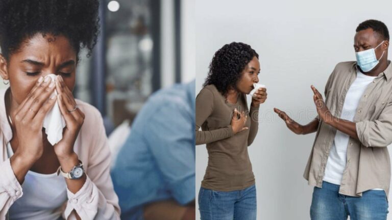 GridArt_20260218_075726697-1707x960 (1)