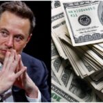 InCollage_20260205_070652998-1536x832