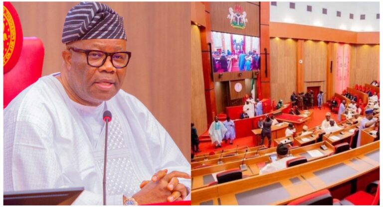 InCollage_20260209_073757516-1536x832