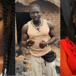 InCollage_20260228_073214000-1707x960