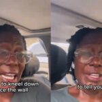 GridArt_20260314_080743061-1707x960