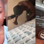 PhotoGrid_Plus_1773312375112-1536x802 (1)