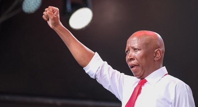 (FILES) Economic Freedom Fighters (EFF) leader Julius Malema gestures during their Tshela Thupa rally at the New Peter Mokaba Stadium in Polokwane on May 25, 2024 ahead of the country's upcoming national and provincial elections on May 29, 2024. A South African court on October 1, 2025 found opposition leader Julius Malema guilty of violating gun laws for firing an assault rifle at a 2018 rally.Malema, leader of the radical anti-capitalist Economic Freedom Fighters (EFF) party, is known for fiery speeches and courting political tensions both at home and abroad.The 44-year-old and his former bodyguard were charged for firing the gun in the air during the EFF's fifth birthday celebration in Eastern Cape province. (Photo by Emmanuel CROSET / AFP)